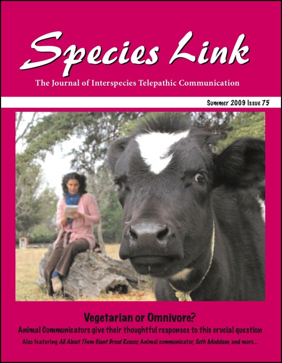 Woman reading with cow in field