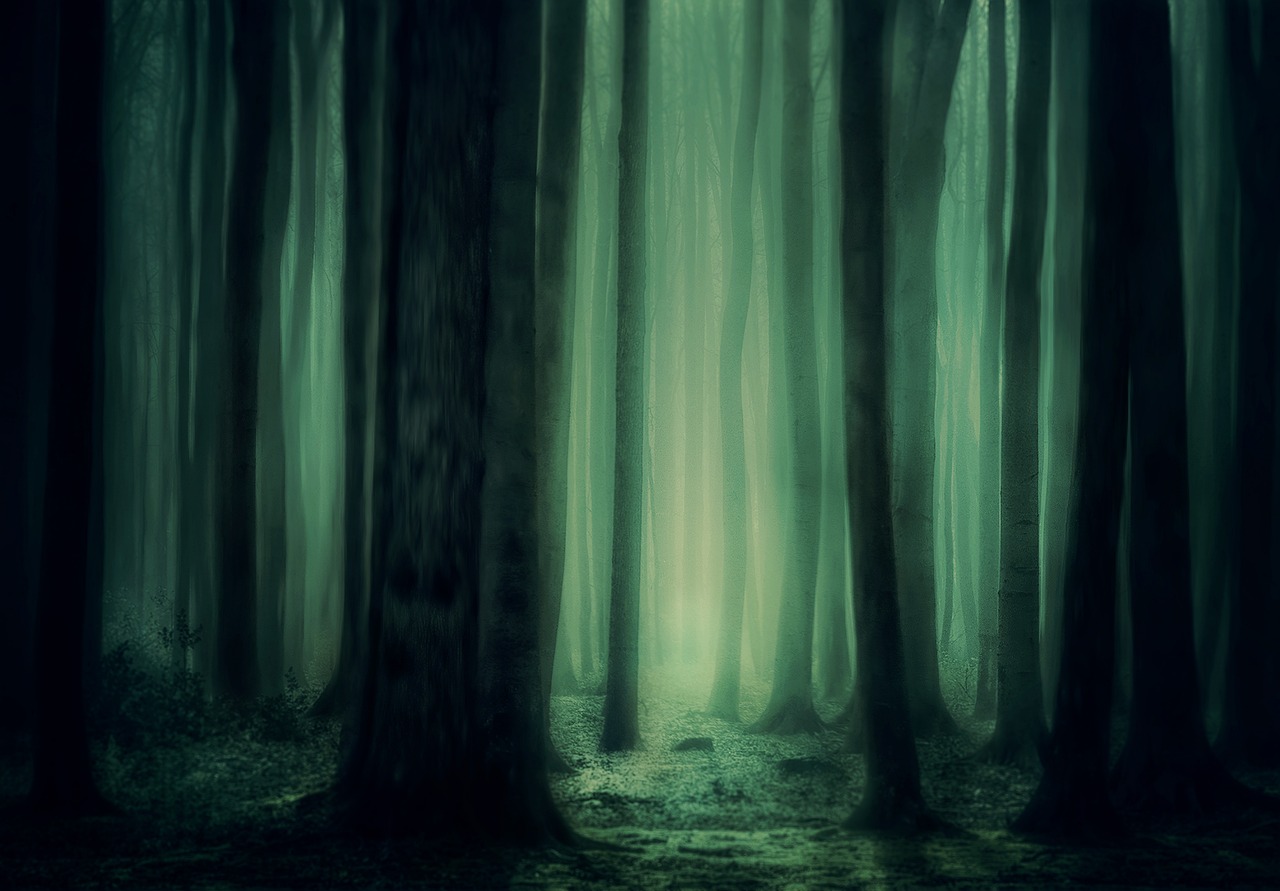 Dark Forest with green light