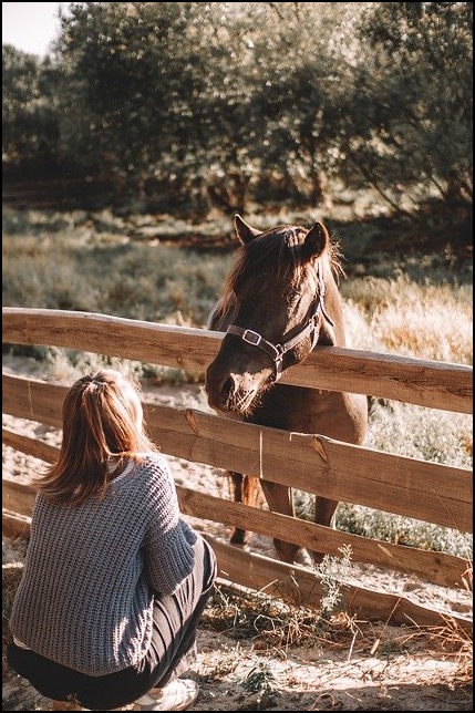 Horse over fence with woman