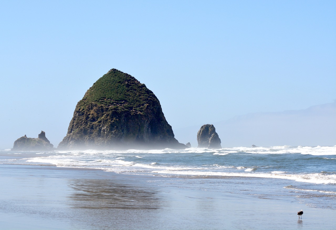 Beach with rocks