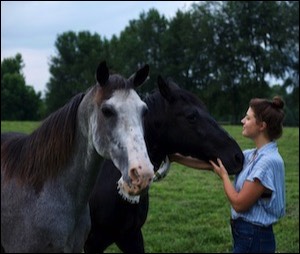 Woman in field with 2 horses