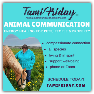 Woman in field with horse eating grass